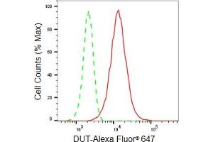Flow cytometric analysis of DUT expression in HeLa cells using DUT antibody (ABIN7798312), 1:2,000). (Recombinant Deoxyuridine Triphosphatase (DUT) 抗体)
