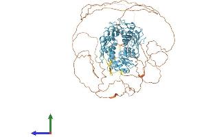 Protein Structure (PS) image for Zinc Finger Protein 28 (ZFP28) (AA 1-868) protein (His tag) (ABIN7545438)