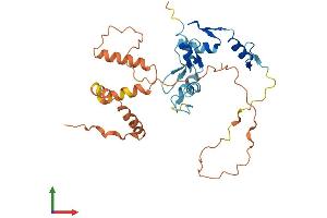 Protein Structure (PS) image for Odd-Skipped Related 2 (OSR2) (AA 1-312) protein (His tag) (ABIN7560143)