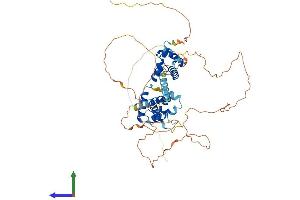Protein Structure (PS) image for NGFI-A Binding Protein 2 (EGR1 Binding Protein 2) (NAB2) (AA 1-525) protein (His tag) (ABIN7549594)