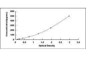 Netrin 1 (NTN1) ELISA Kit