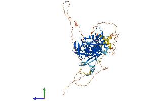 AlphaFold protein structure predicition of Human Recombinant TIPARP Protein, UniprotID Q7Z3E1