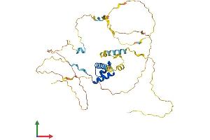 AlphaFold protein structure predicition of Human Recombinant BARHL2 Protein, UniprotID Q9NY43
