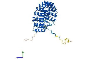 AlphaFold protein structure predicition of Human Recombinant FBXL2 Protein, UniprotID Q9UKC9