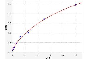 PKC delta ELISA 试剂盒