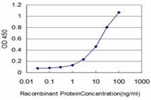 Detection limit for recombinant GST tagged COASY is approximately 1ng/ml as a capture antibody. (COASY 抗体  (AA 461-564))
