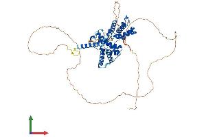 Protein Structure (PS) image for Cyclin L1 (CCNL1) (AA 1-532) protein (His tag) (ABIN7557412)