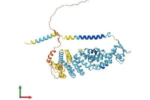 Protein Structure (PS) image for Proteasome (Prosome, Macropain) 26S Subunit, Non-ATPase, 3 (PSMD3) (AA 1-534) protein (His tag) (ABIN7551103)