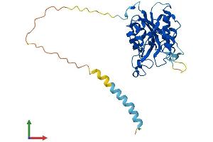 Protein Structure (PS) image for beta-1,3-Glucuronyltransferase 1 (Glucuronosyltransferase P) (B3GAT1) (AA 1-334) protein (His tag) (ABIN7560655)