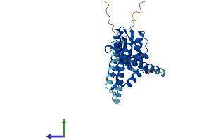 Protein Structure (PS) image for OTU Domain Containing 6B (OTUD6B) (AA 1-294) protein (His tag) (ABIN7559505)