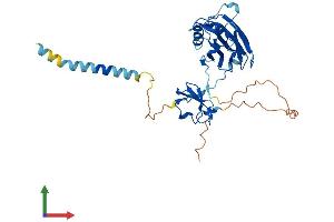 AlphaFold protein structure predicition of Mouse Recombinant Cgrrf1 Protein, UniprotID Q8BMJ7 (CGR19 Protein (AA 1-332) (His tag))