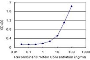 Sandwich ELISA detection sensitivity ranging from 10 ng/mL to 100 ng/mL. (NFKB1 (人) Matched Antibody Pair)