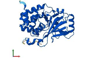 AlphaFold protein structure predicition of Human Recombinant PPP6C Protein, UniprotID O00743
