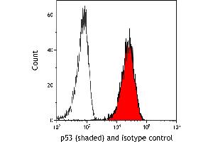 Flow Cytometry (FACS) image for anti-Tumor Protein P53 (TP53) (AA 20-25) antibody (ABIN7455068)
