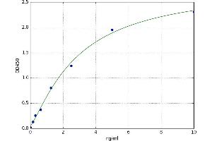 Endothelial PAS Domain Protein 1 (EPAS1) ELISA Kit