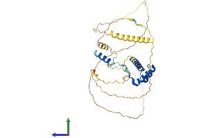 Protein Structure (PS) image for Short Stature Homeobox 2 (SHOX2) (AA 1-331) protein (His tag) (ABIN7546122)