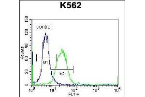 DOC2A Antibody (Center) (ABIN656766 and ABIN2845987) flow cytometric analysis of K562 cells (right histogram) compared to a negative control cell (left histogram). (DOC2A 抗体  (AA 277-306))