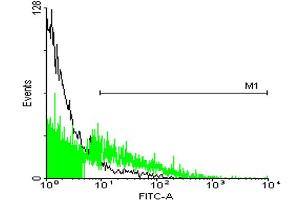 FACS analysis of 293 cells stained with STIP1 monoclonal antibody clone 2E1 (Green) and non-stained 293 cells (Black) as negative control. (STIP1 抗体  (AA 1-543))