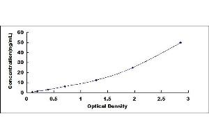 Typical standard curve (TTC39B ELISA 试剂盒)