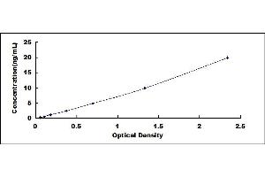 Typical standard curve (SERPINB2 ELISA 试剂盒)