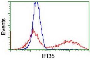 Image no. 2 for anti-Interferon-Induced Protein 35 (IFI35) antibody (ABIN1498799) (IFI35 抗体)
