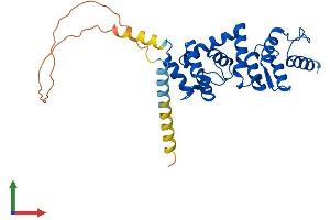 AlphaFold protein structure predicition of Human Recombinant DCUN1D4 Protein, UniprotID Q92564