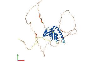 Protein Structure (PS) image for Spermatogenesis Associated 22 (SPATA22) (AA 1-363) protein (His tag) (ABIN7546434)