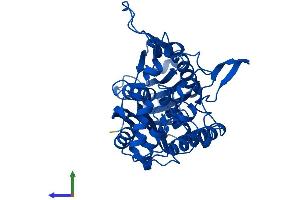 Protein Structure (PS) image for Acetyl-CoA Acyltransferase 2 (ACAA2) (AA 1-397) protein (His tag) (ABIN7558973)