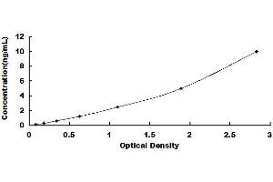 Typical standard curve (Kdm6b ELISA 试剂盒)