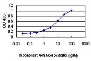 Detection limit for recombinant GST tagged PCBP2 is approximately 0. (PCBP2 抗体  (AA 1-362))