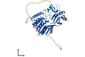 Protein Structure (PS) image for tRNA Methyltransferase 2 Homolog B (TRMT2B) (AA 1-493) protein (His tag) (ABIN7558815)