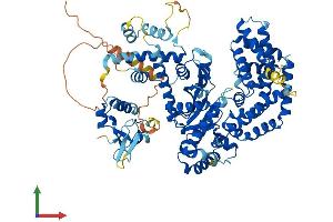 Protein Structure (PS) image for Protein-Kinase, Interferon-Inducible Double Stranded RNA Dependent Inhibitor, Repressor of (p58 Repressor) (PRKRIR) (AA 1-758) protein (His tag) (ABIN7560648)