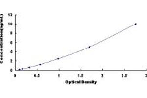 Typical standard curve (CXCR4 ELISA 试剂盒)