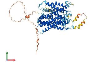 Protein Structure (PS) image for Solute Carrier Family 38, Member 2 (SLC38A2) (AA 1-504) protein (His tag) (ABIN7559304)