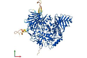 Protein Structure (PS) image for Glucosidase, Alpha, Neutral C (GANC) (AA 1-914) protein (His tag) (ABIN7547818)