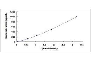 Typical standard curve (LAMA3 ELISA 试剂盒)