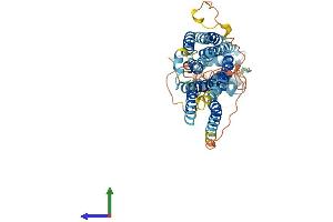 Protein Structure (PS) image for Solute Carrier Family 39 (Zinc Transporter), Member 8 (SLC39A8) (AA 1-462) protein (His tag) (ABIN7560007)