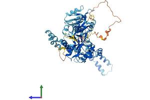 Protein Structure (PS) image for Membrane Protein, Palmitoylated 7 (MAGUK p55 Subfamily Member 7) (MPP7) (AA 1-576) protein (His tag) (ABIN7549510)