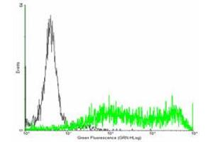 Flow Cytometry (FACS) image for anti-Coagulation Factor III (thromboplastin, Tissue Factor) (F3) (AA 1-295) antibody (ABIN515444)