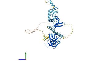 Protein Structure (PS) image for KIN, Antigenic Determinant of RecA Protein Homolog (KIN) (AA 1-391) protein (His tag) (ABIN7559530)