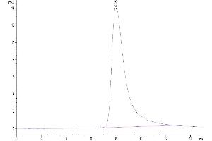 Size-exclusion chromatography-High Pressure Liquid Chromatography (SEC-HPLC) image for Natural Cytotoxicity Triggering Receptor 3 (NCR3) (AA 19-138) protein (Fc Tag) (ABIN7275350)