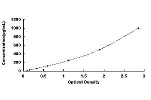 Typical standard curve (FUCA2 ELISA 试剂盒)