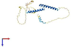 ASCL1 Protein (AA 1-231) (His tag)