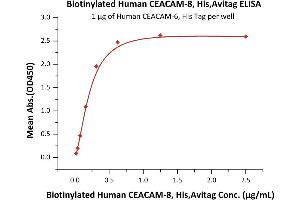 Immobilized Human CEACAM-6, His Tag (ABIN2180870,ABIN2180869) at 10 μg/mL (100 μL/well) can bind Biotinylated Human CEACAM-8, His,Avitag (ABIN5954969,ABIN6253589) with a linear range of 0.