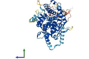 AlphaFold protein structure predicition of Human Recombinant SESN3 Protein, UniprotID P58005