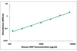 Representative Standard Curve (HGF ELISA 试剂盒)
