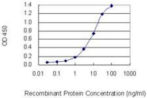 Detection limit for recombinant GST tagged EDEM2 is 0. (EDEM2 抗体  (AA 479-578))