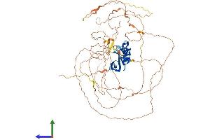 Protein Structure (PS) image for Ataxin 1-Like (ATXN1L) (AA 1-689) protein (His tag) (ABIN7552621)