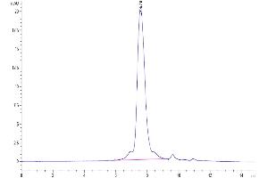 Size-exclusion chromatography-High Pressure Liquid Chromatography (SEC-HPLC) image for Tumor-Associated Calcium Signal Transducer 2 (TACSTD2) (AA 27-274) protein (His tag) (ABIN7275792)