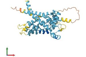 Protein Structure (PS) image for Solute Carrier Family 25 (Mitochondrial Carrier), Member 18 (SLC25A18) (AA 1-320) protein (His tag) (ABIN7561260)